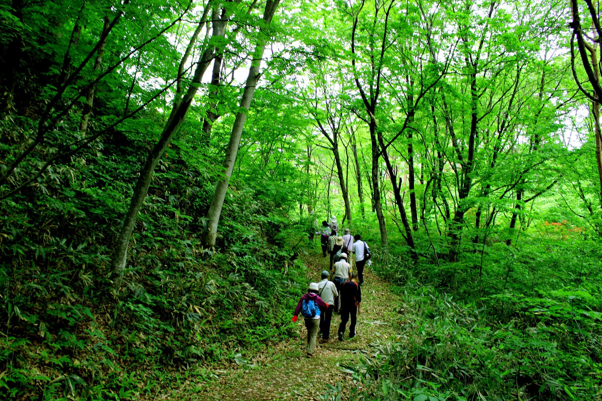 A Countryside Hot Spring Within Reach of the Airport, Shuttle Available