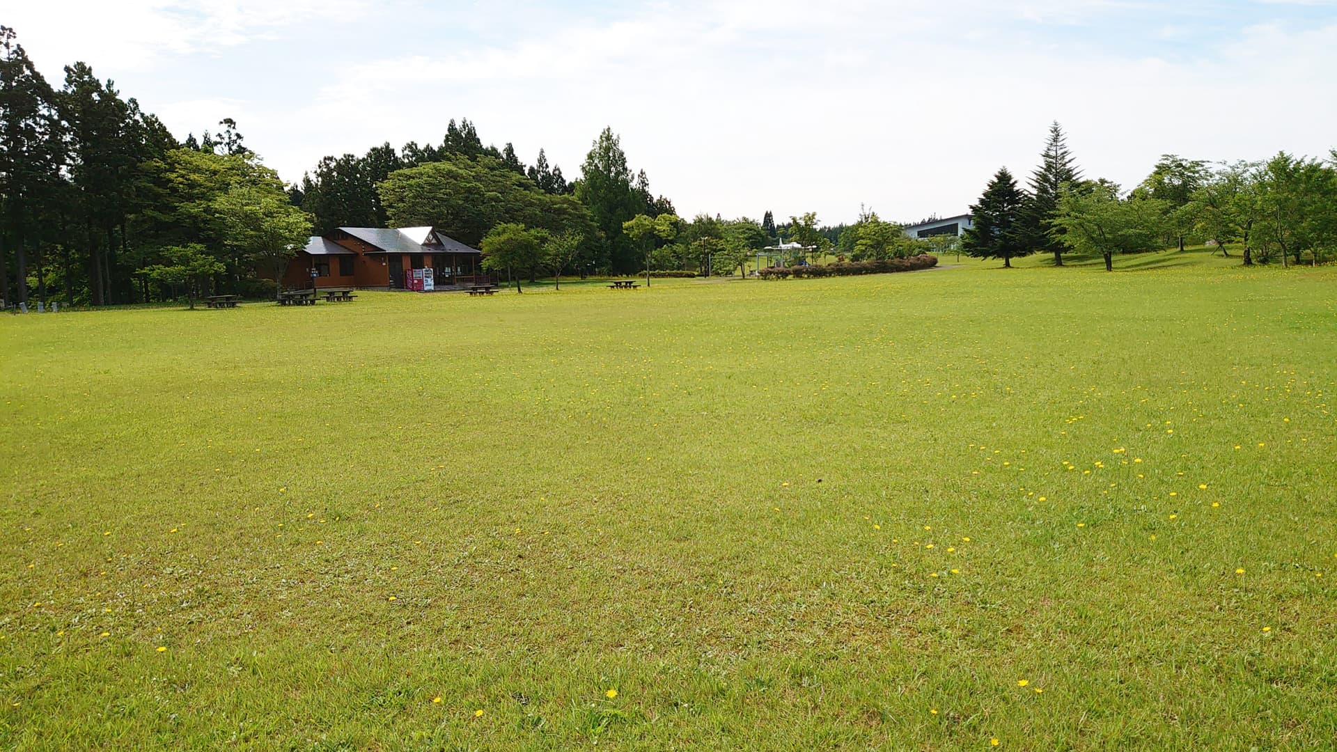 Mitane's Signature — The Home of Junsai