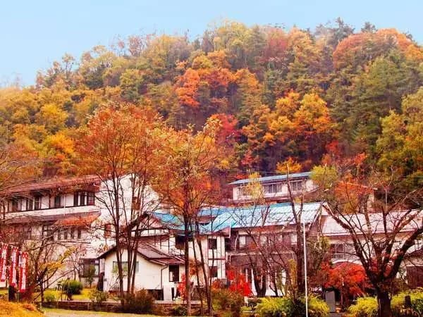 나카오야마 온천 쇼센카쿠 (나가노 현) 사진 7