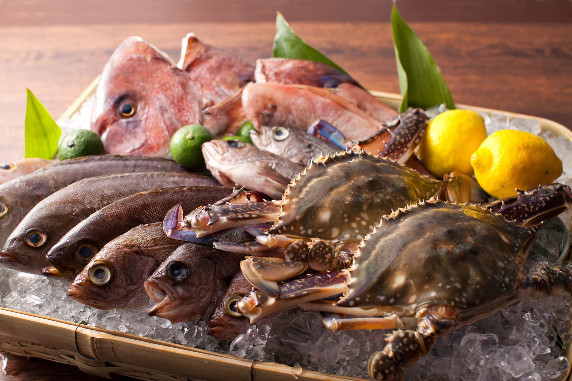 Seto Inland Sea Seafood Kaiseki