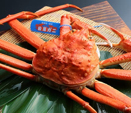 호텔 교쿠센 photo 5