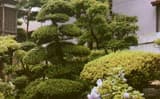 료칸 하구로칸 photo 6