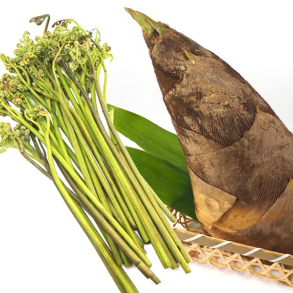 야마사키야 료칸 photo 6