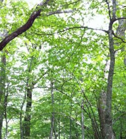 시레토코무라 (구 츠쿠다장) 사진 2