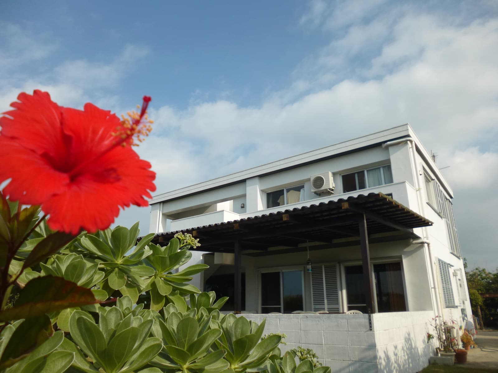 A Private Inn Amid Sugarcane Fields