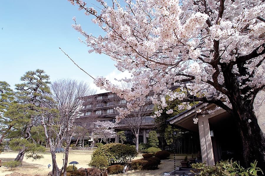 Tokiwa's Celebrated Japanese Garden