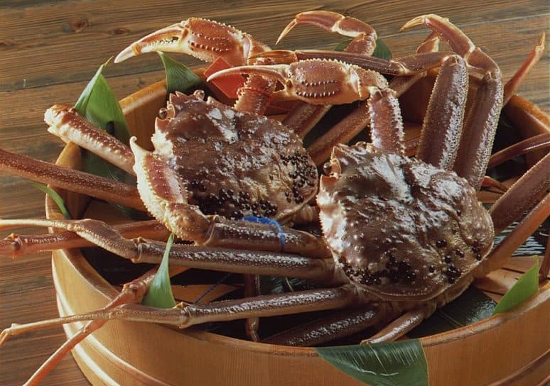 하나레노 야도 와라쿠 사진 5