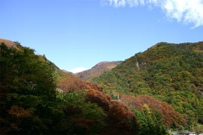 게스트 하우스 나토리야