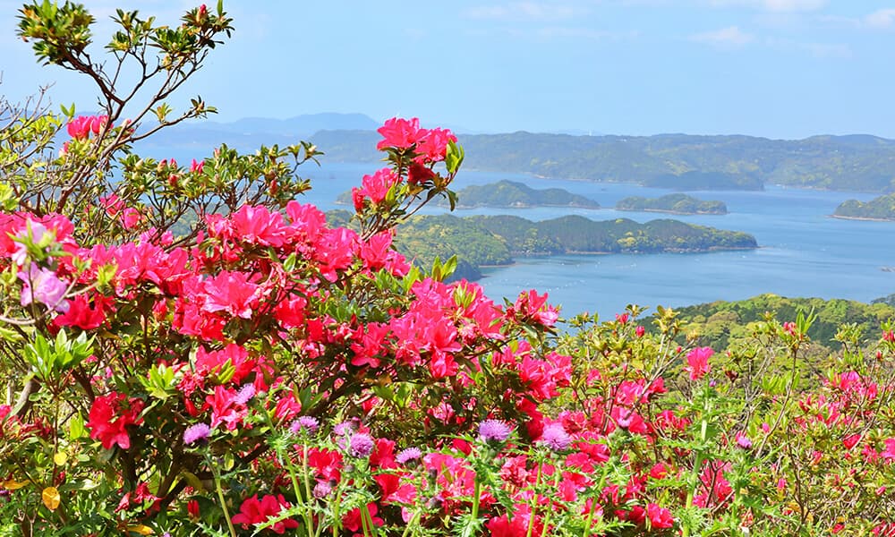 민박 우미노 사치