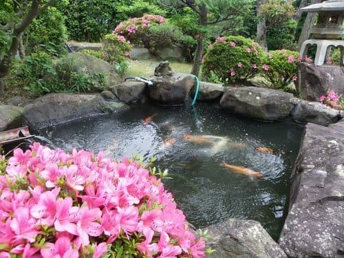 용궁관 사진 6