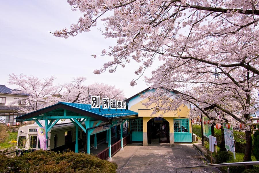 벳쇼 온센 사이토 료칸 사진 8