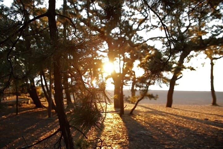 호텔 하고로모
