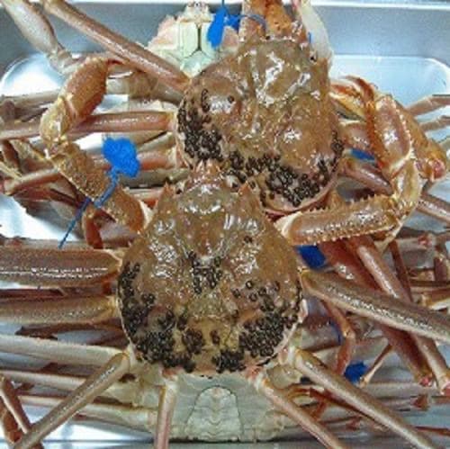 기노사키 온천 미쓰와 료칸 사진 5