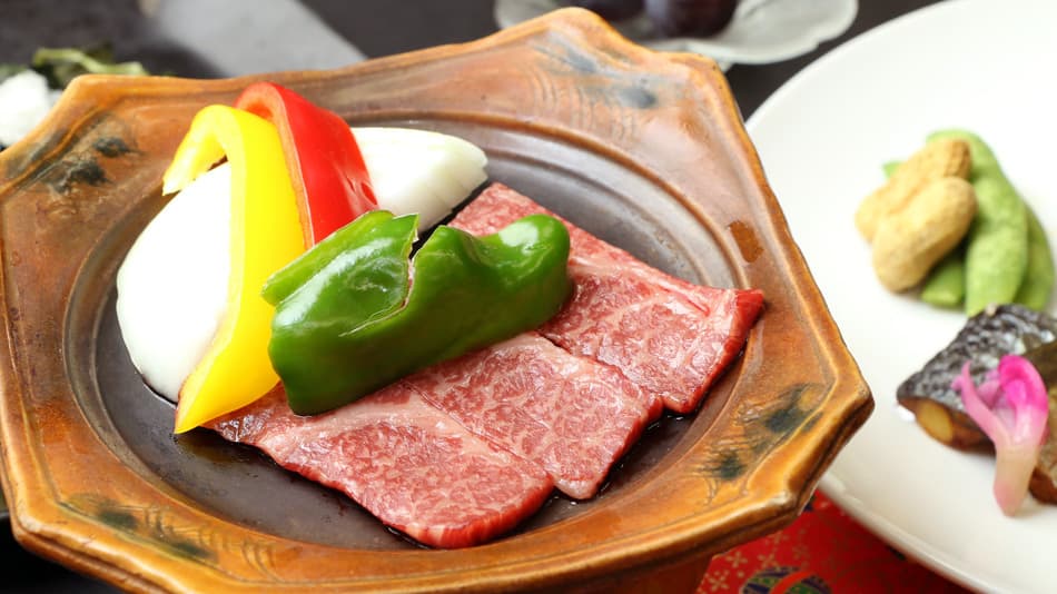 기리시마온천 민슈쿠 도잔구치온천 사진 20
