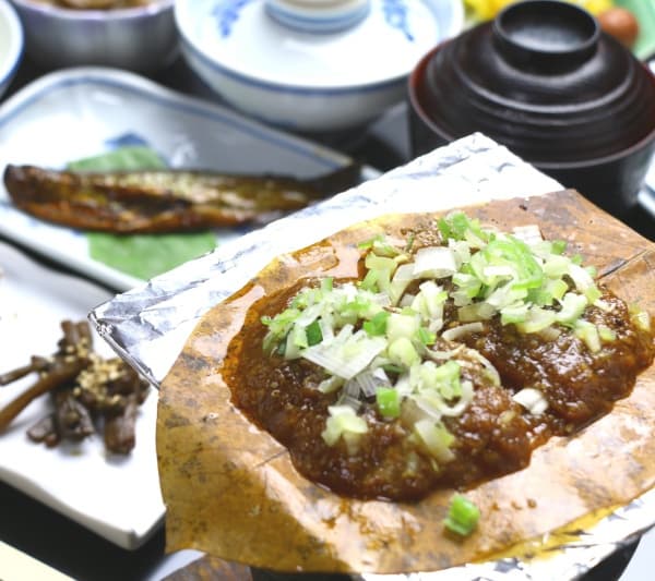 오쿠히다 온센고 신히라유 온센 미야마소 photo 11