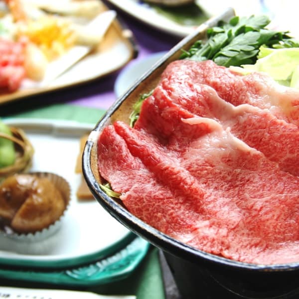 오쿠히다 온센고 신히라유 온센 미야마소 photo 19