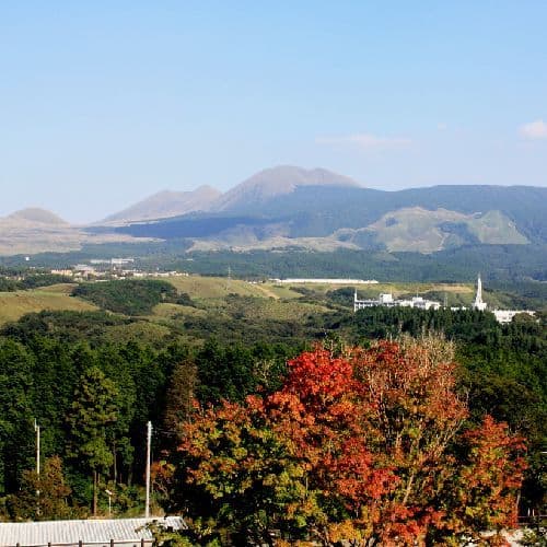 Landscape