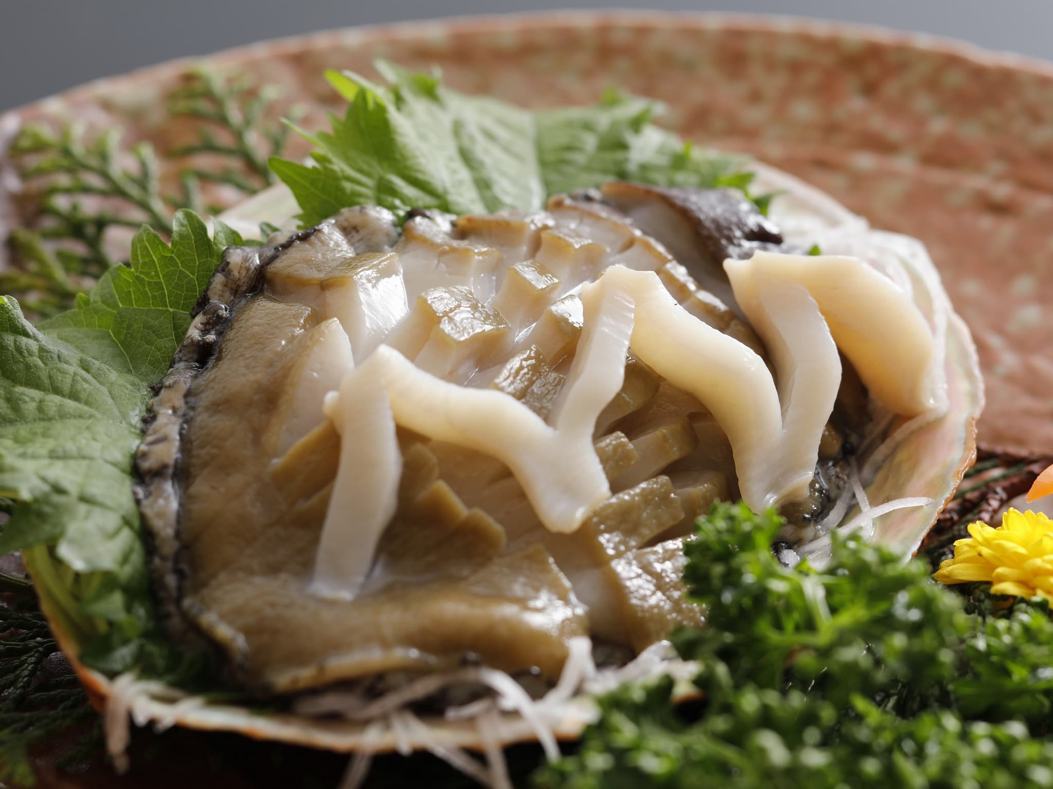 Abalone sashimi