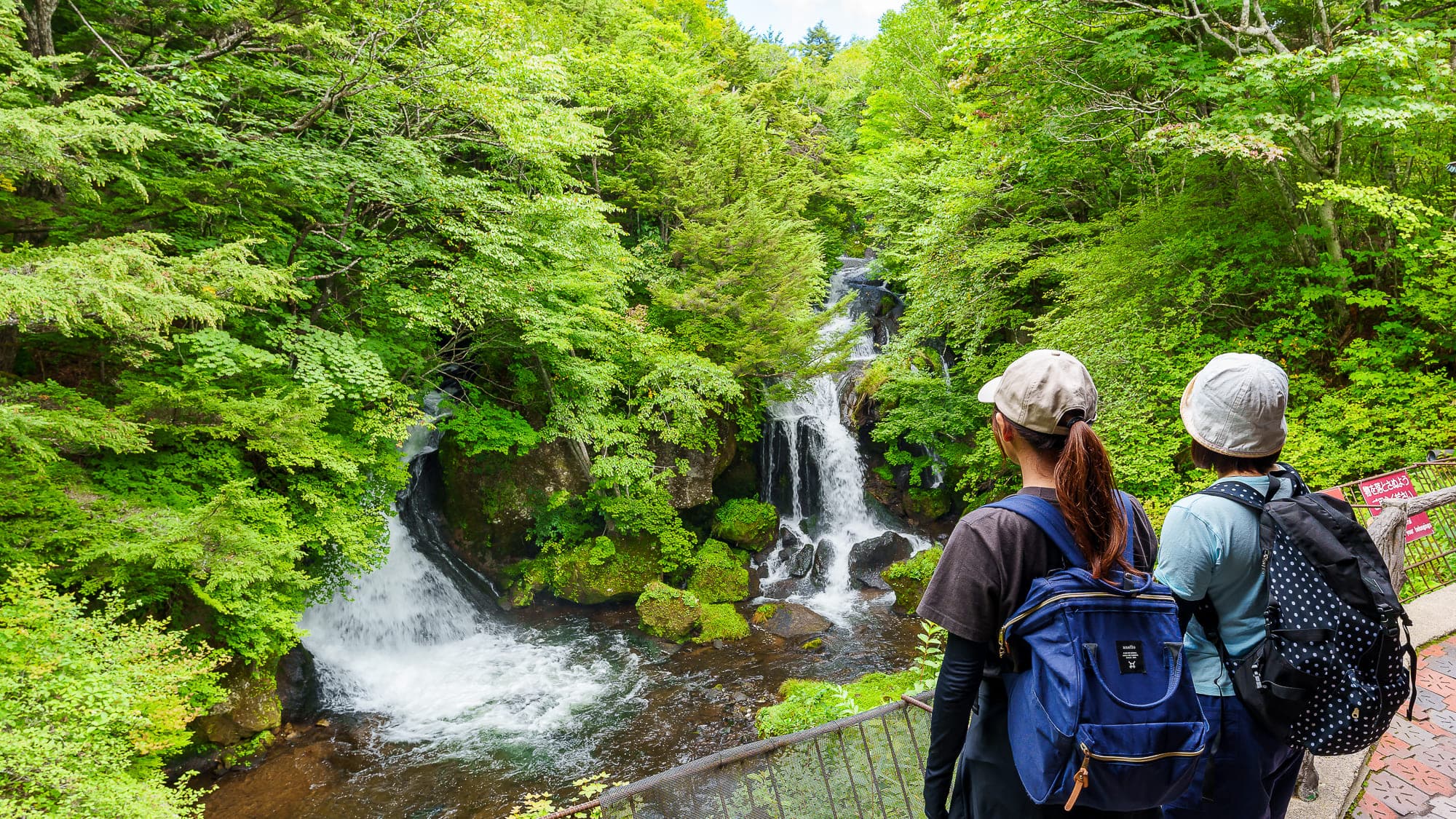 Let's take a lot of negative ions! Ryuzu Falls