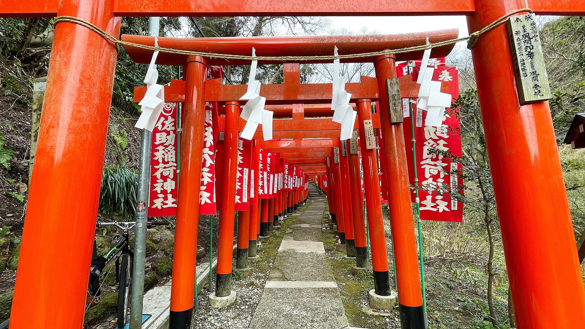 Sasuke Inari Shrine/17 minutes walk