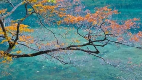 lake