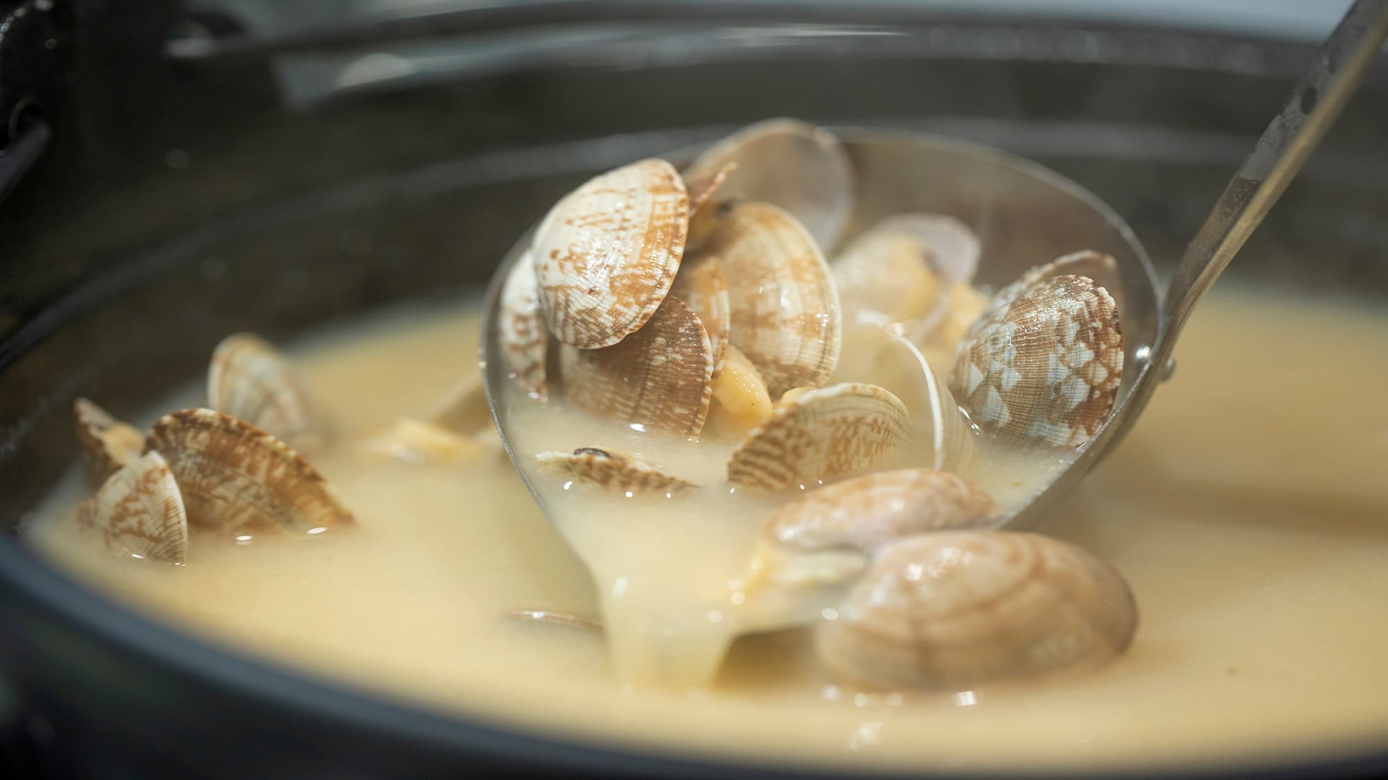 도미인 도야마 사진 2
