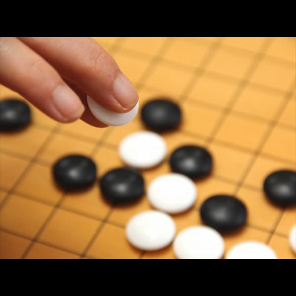 오가노 온센 에치고야 료칸 photo 8
