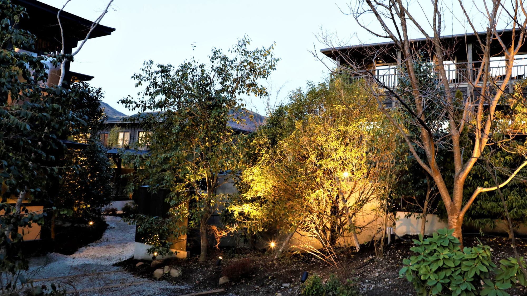 [Courtyard] The lit-up scenery is also recommended for walking.