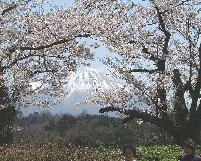 Pension Akemanomori photo 11