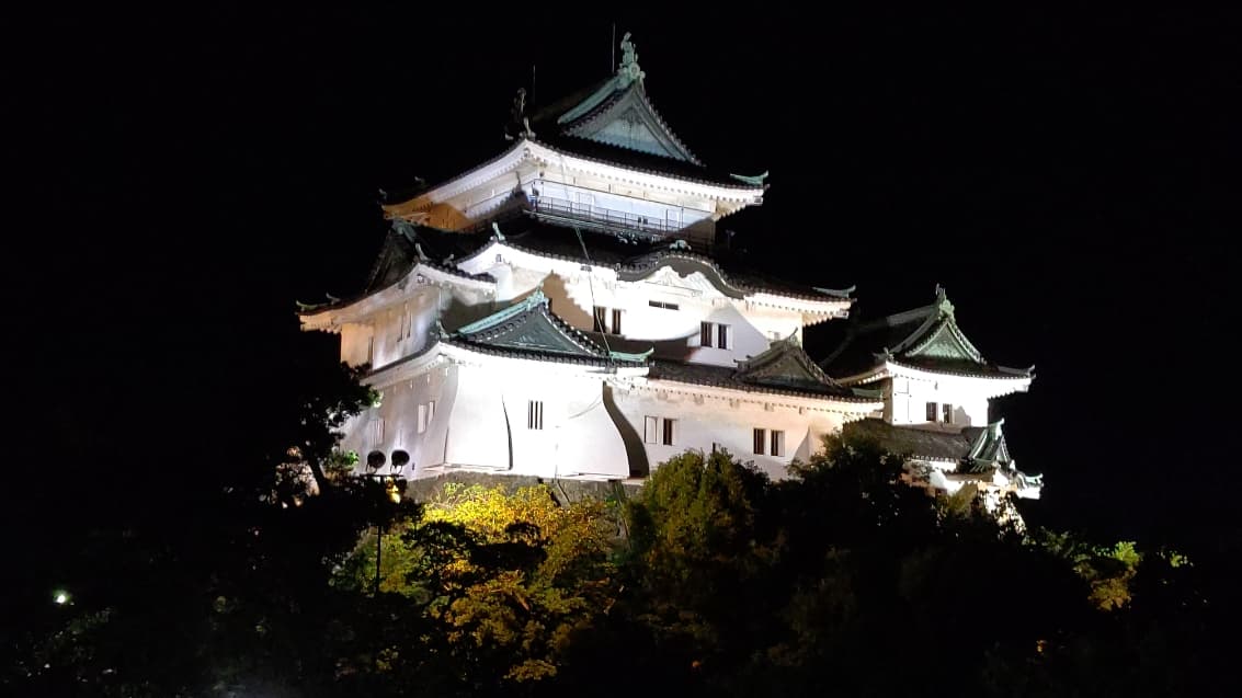 [Wakayama Castle (night view)] 40 minutes by car from the hotel