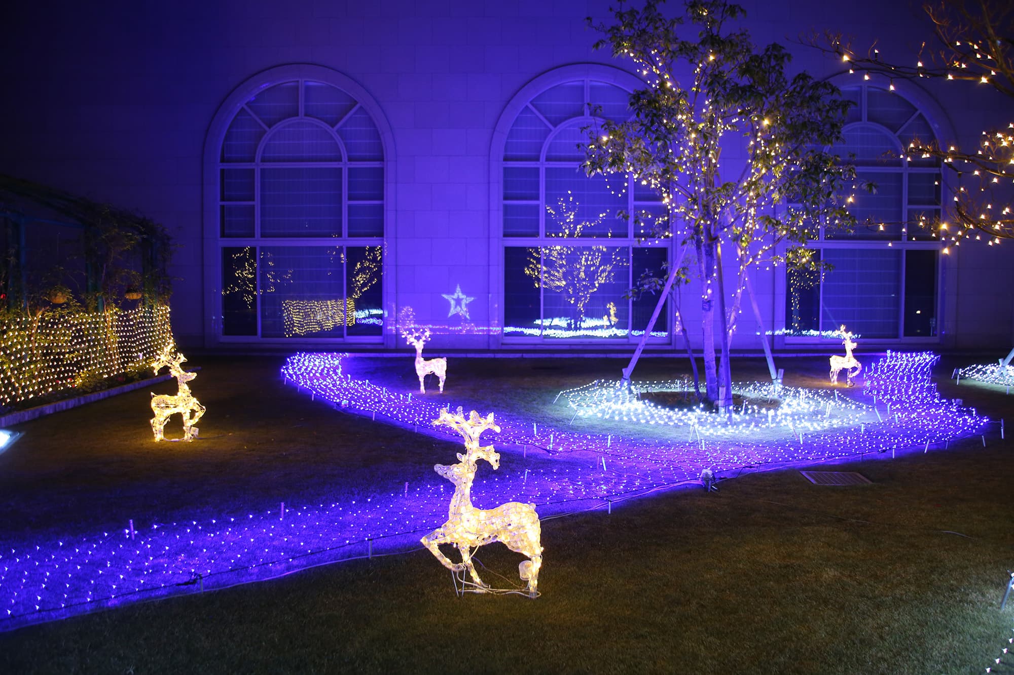 Christmas illumination (2F garden)