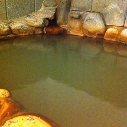 Yunotsu Onsen Nogawaya Ryokan photo 16