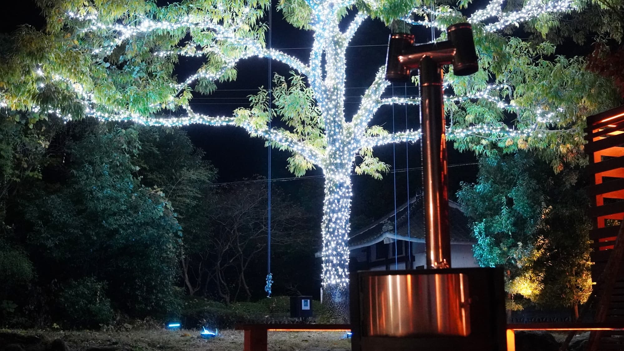 [Christmas illuminations] The brilliance of 20,000 bulbs and extraordinary memories
