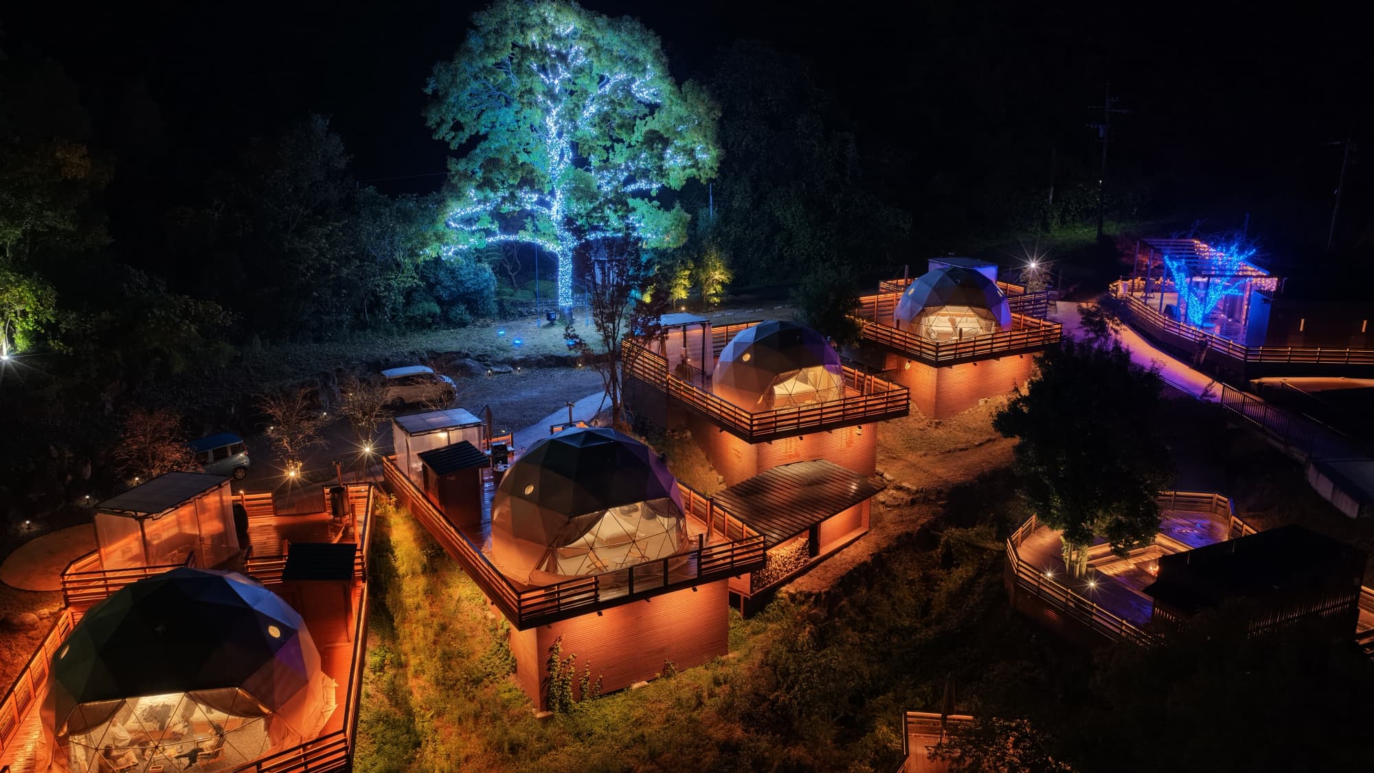 [Christmas illuminations] A sanctuary of extraordinary light that will remain in your memory