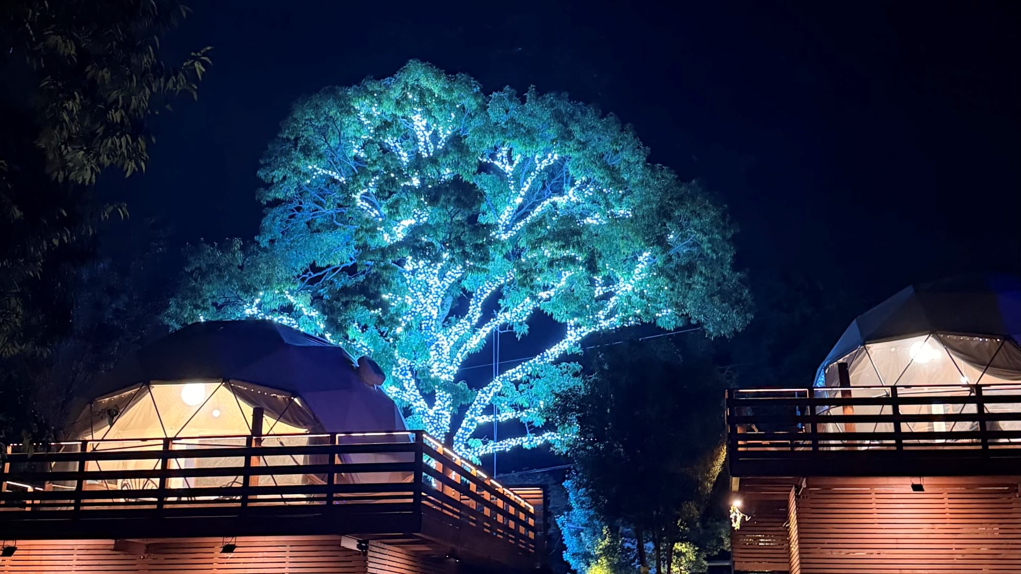 [Christmas illuminations] Stay overnight in a hotel adorned with 20,000 light bulbs