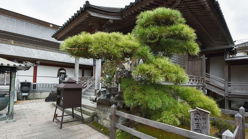温泉山　安楽寺　薬師の里照片2