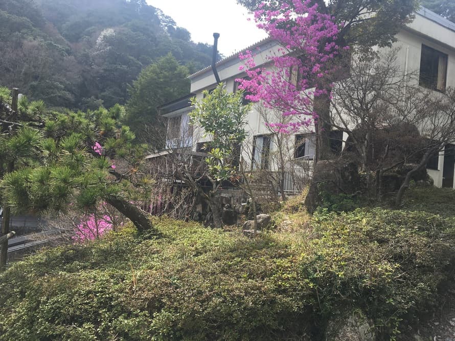 Misuzuso photo 10