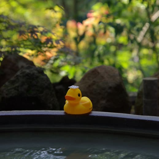 Autumn leaves outdoor bath & Garco