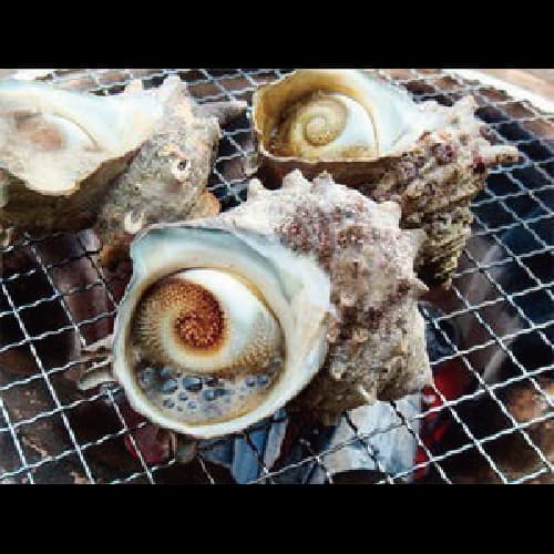 고쿠민 슈쿠샤 마린 테라스 아시야 photo 17