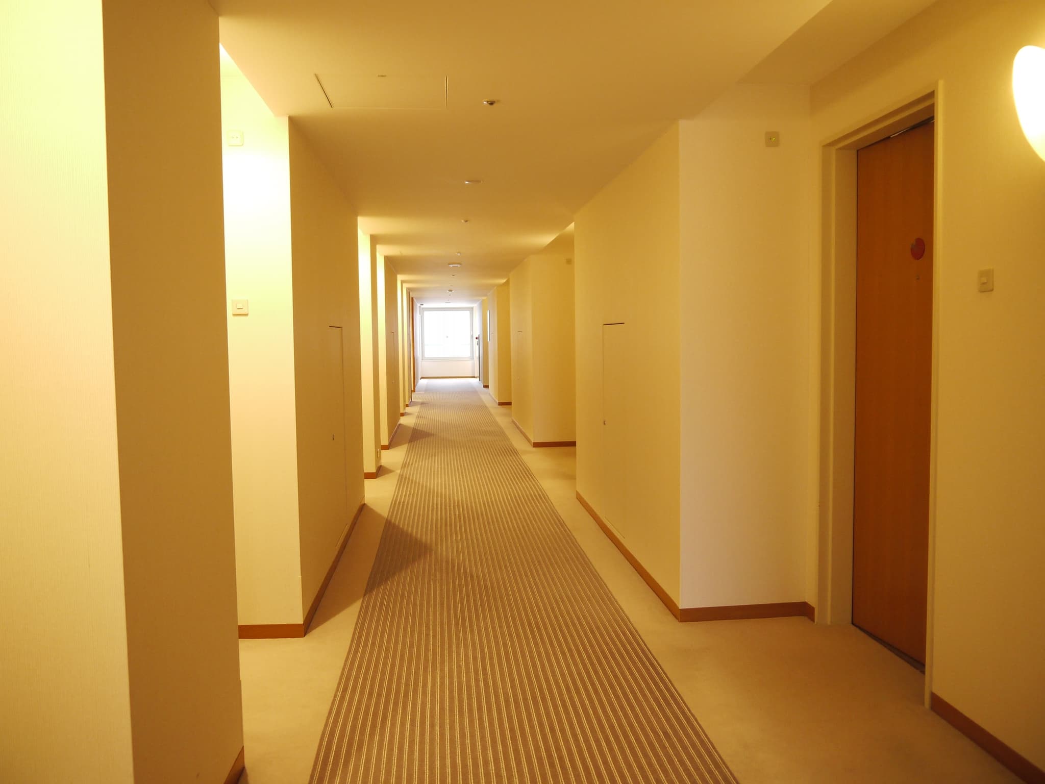 Interior - Corridor
