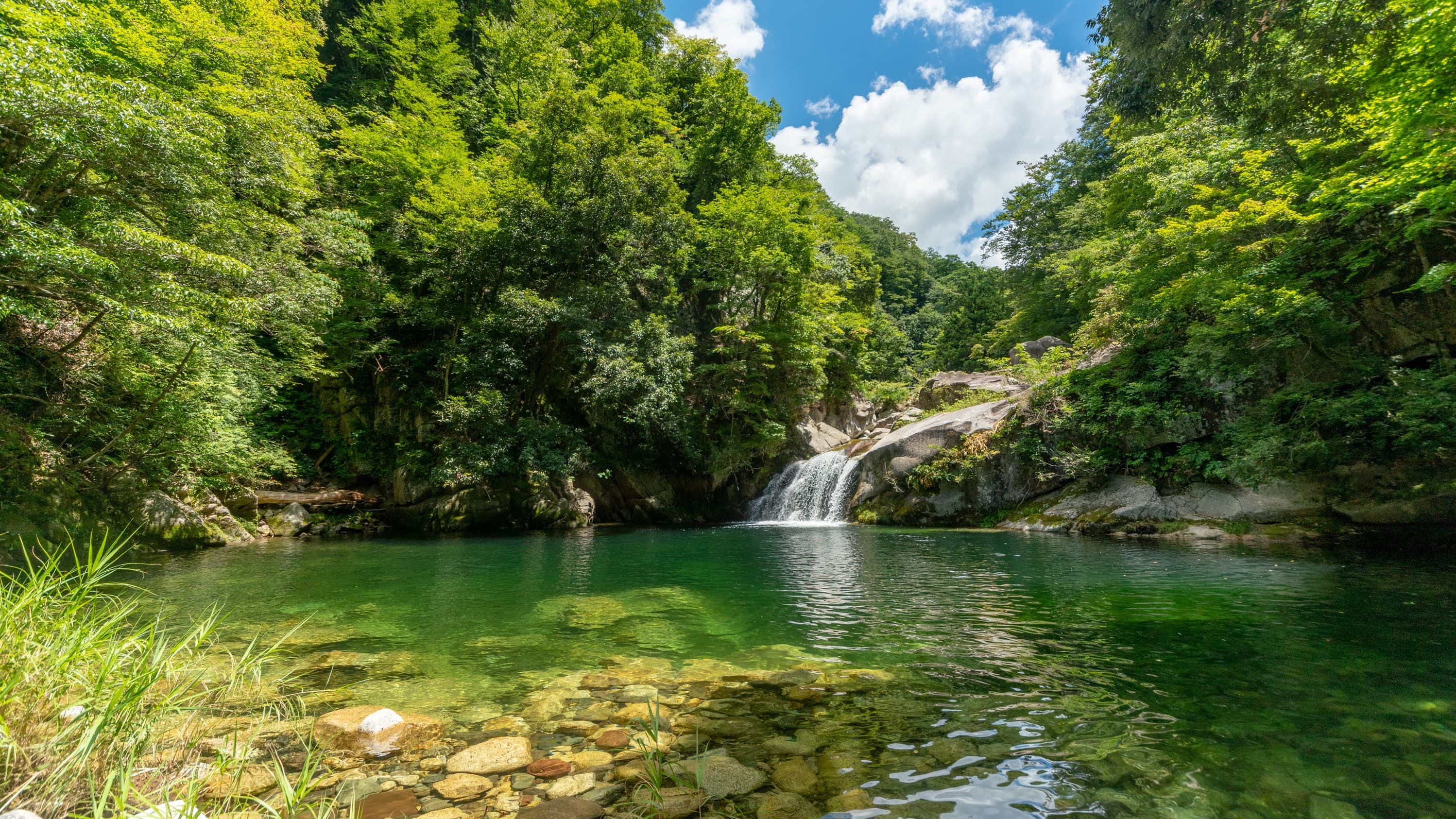 Oshika Valley (summer)