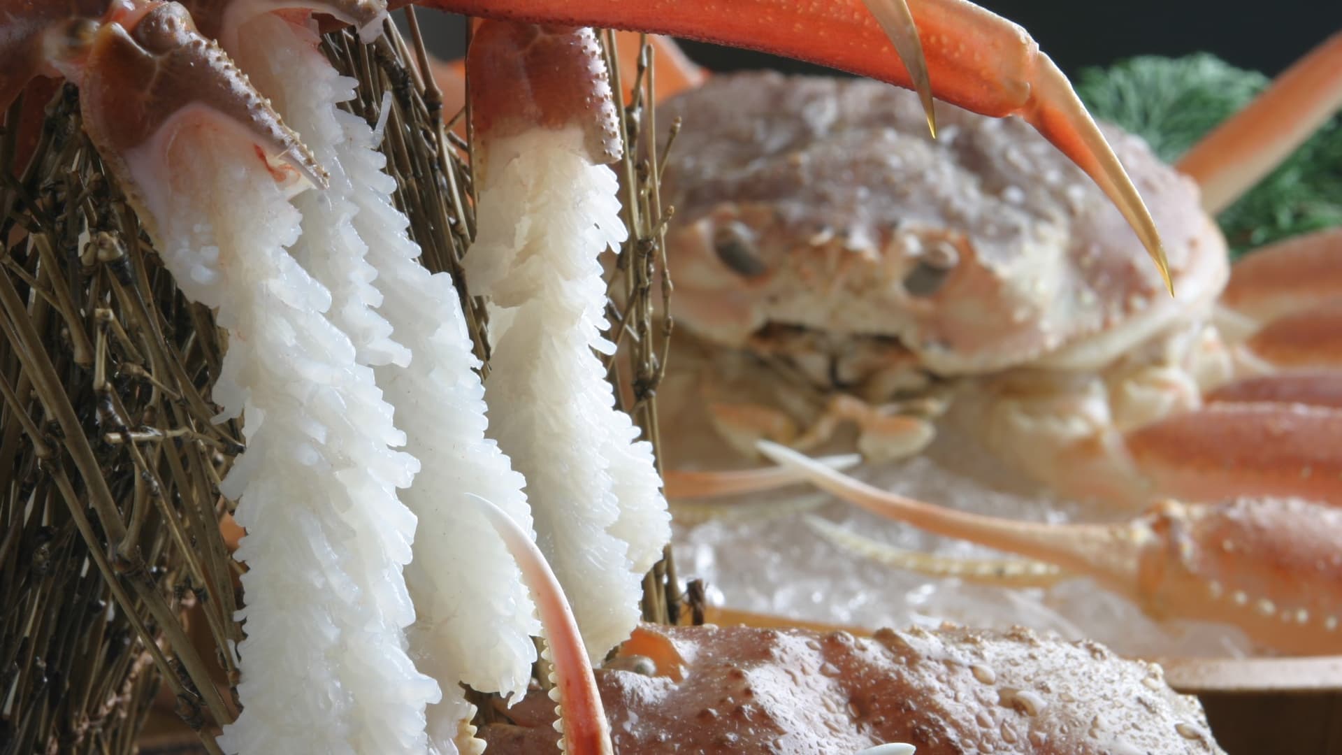 Live crab sashimi (image) Fresh crab with sashimi!