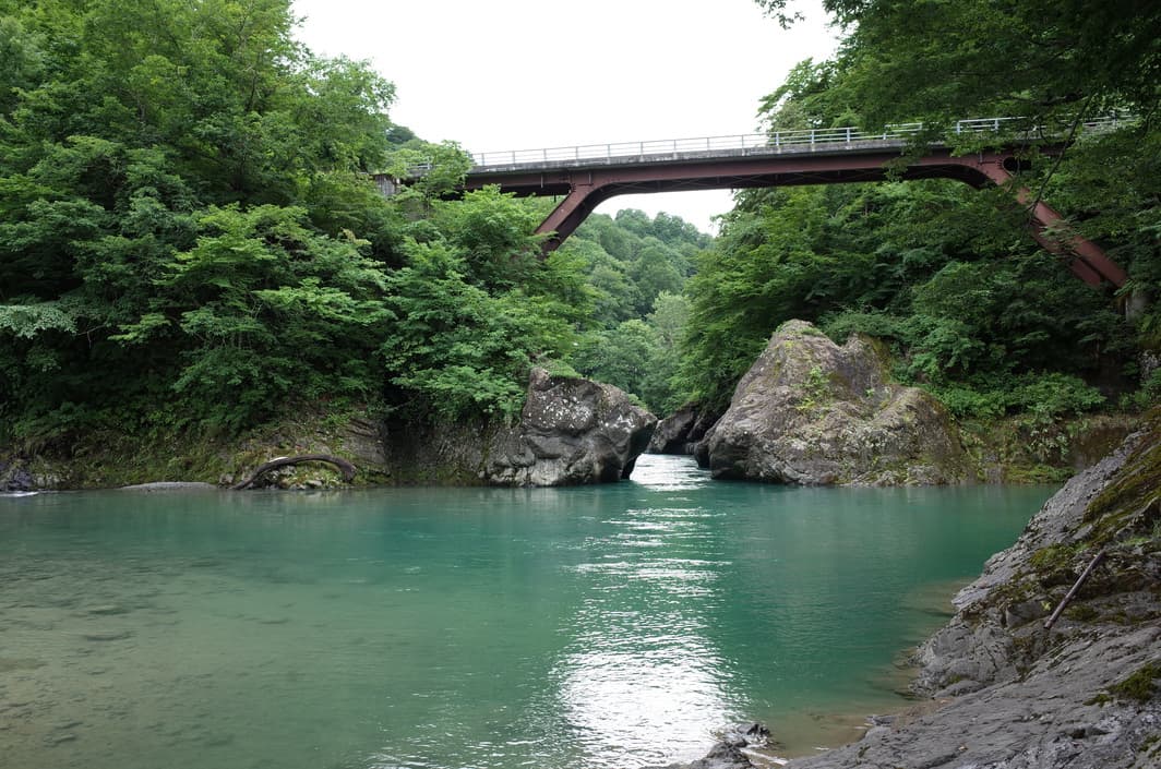 사카사마키온센 카와츠야 photo 15