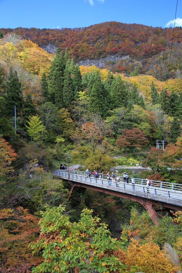 사카사마키온센 카와츠야 photo 14
