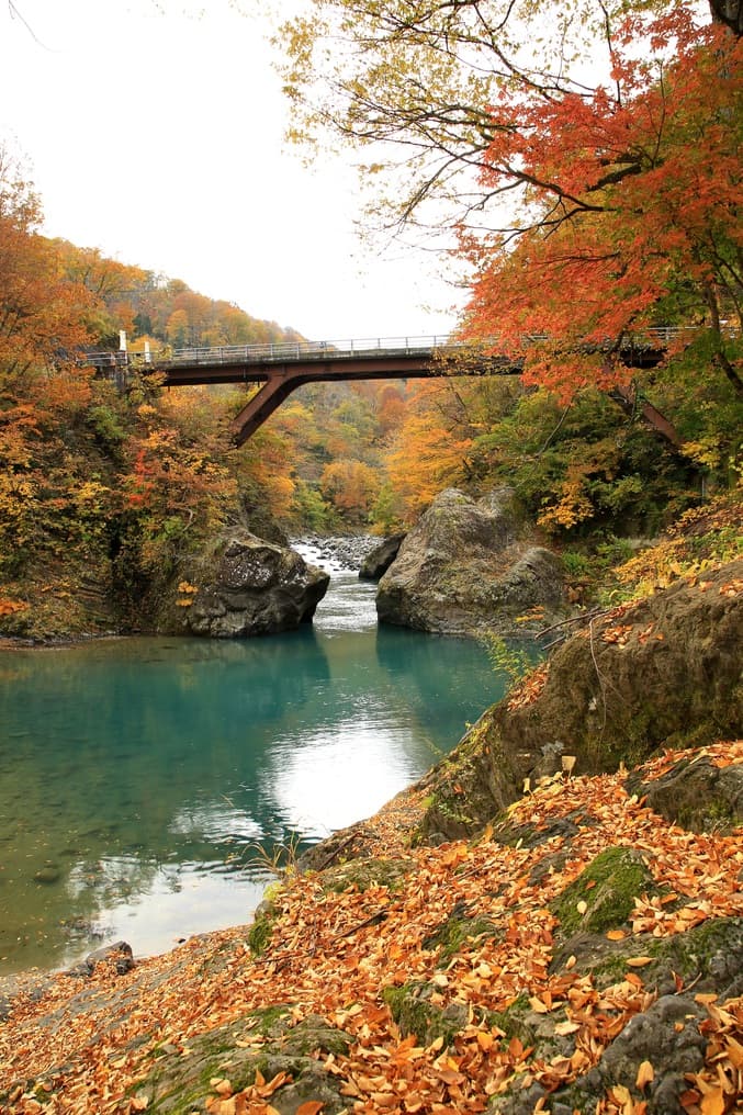 사카사마키온센 카와츠야 photo 11
