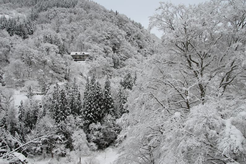 사카사마키온센 카와츠야 photo 19