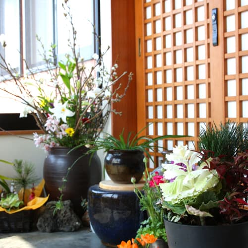 이사리비노 야도 도유(사도가시마) photo 13
