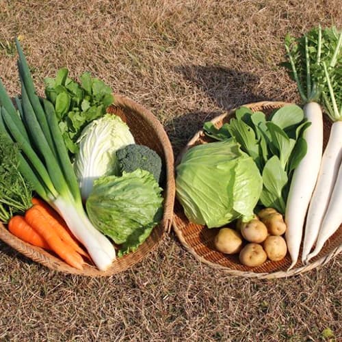 이사리비노 야도 도유(사도가시마) 사진 21