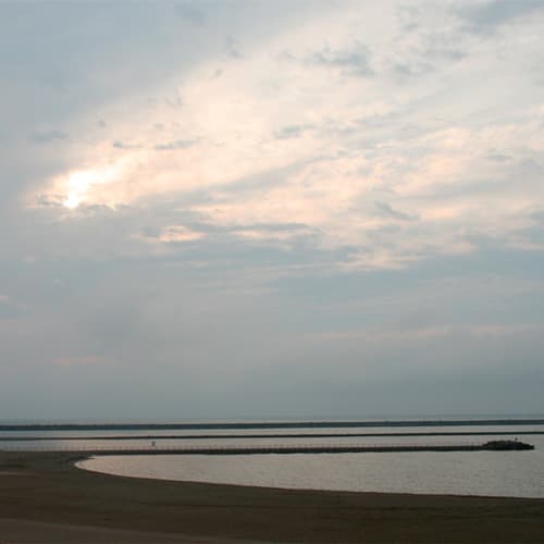 시유스 라이온 사진 2