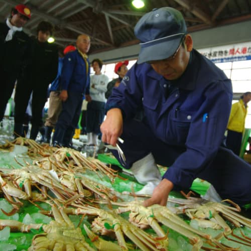 단고 온천 하시우도소 사진 17